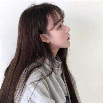 后宫计划新版下载